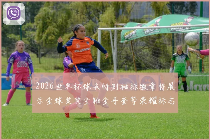 2026世界杯球衣特别袖标徽章将展示金球奖奖金靴金手套等荣耀标志
